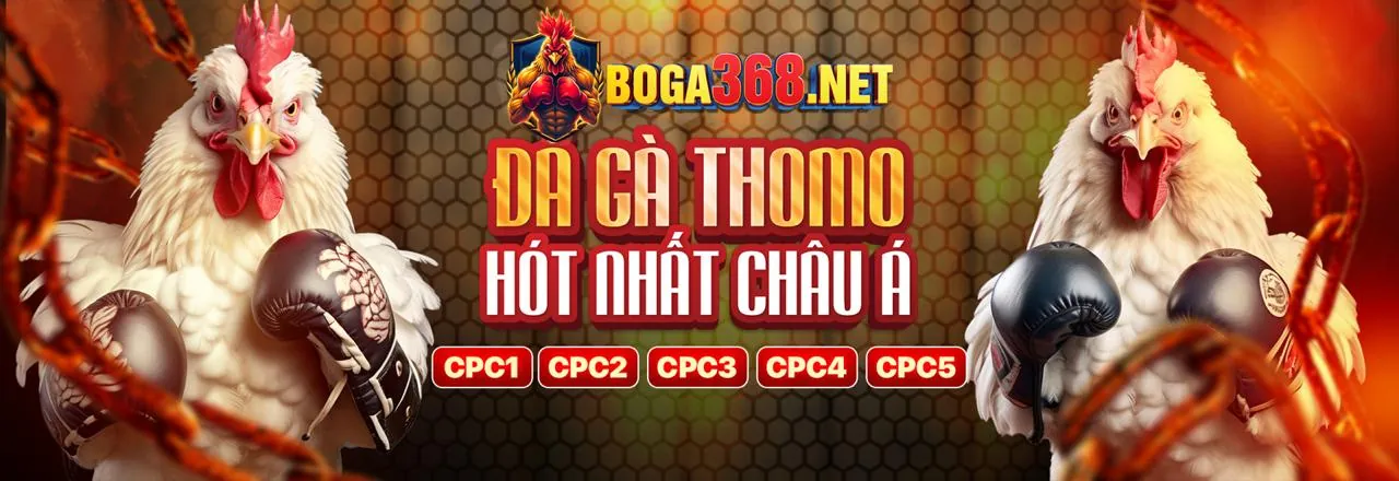Đá Gà Trực Tuyến Keowin365 Nhà Cái Uy Tín